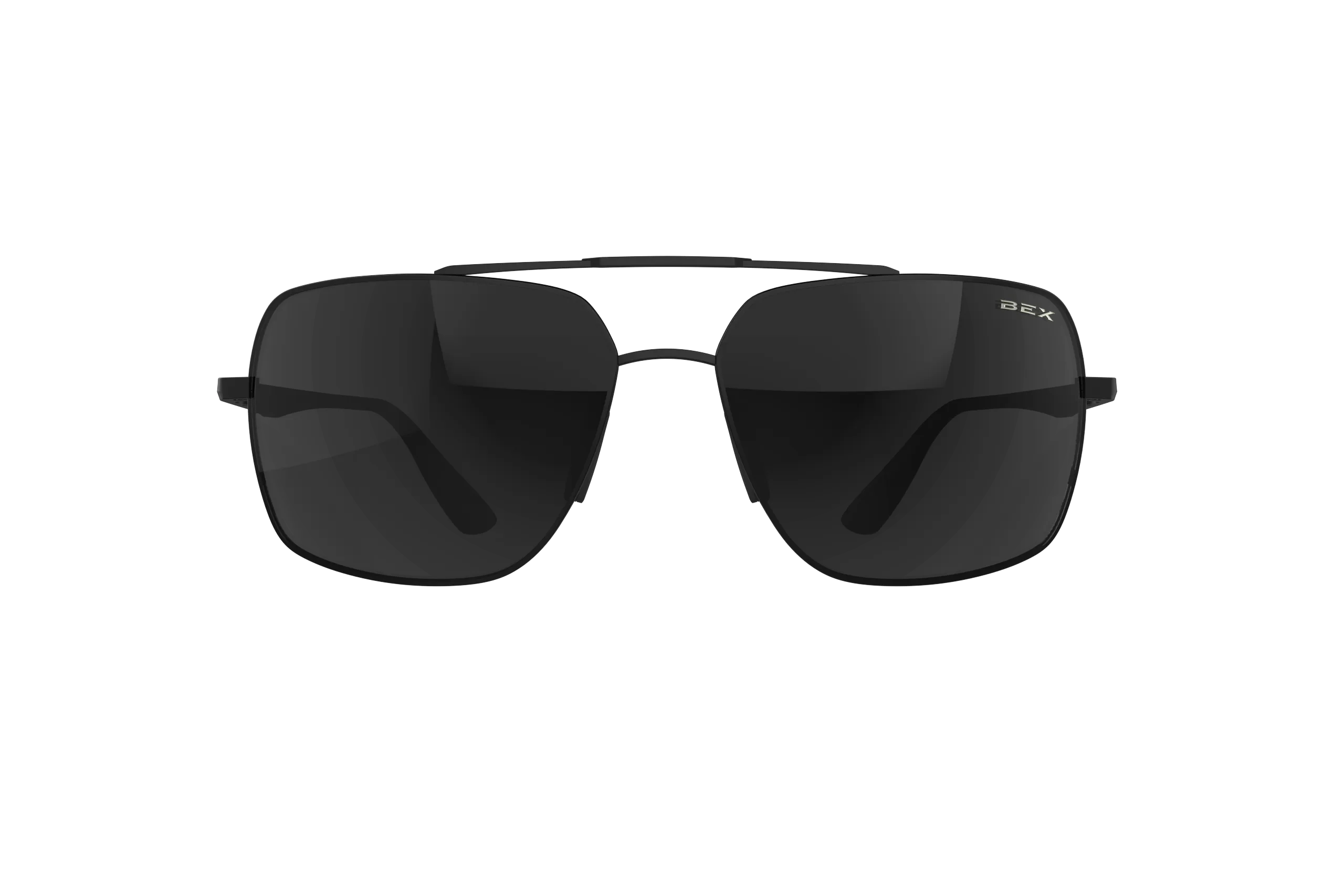 Bex Wing Sunglasses {matte silver}