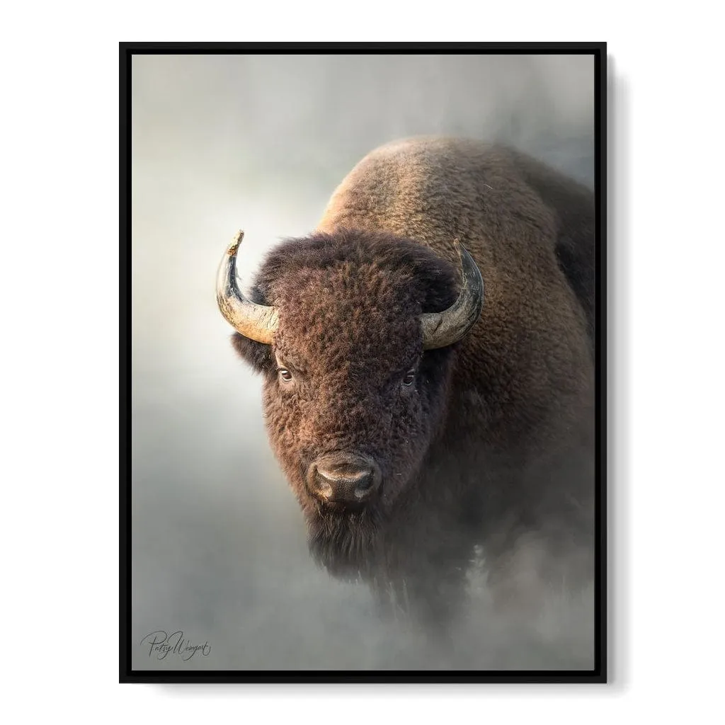 Bison 1 - Patsy Weingart