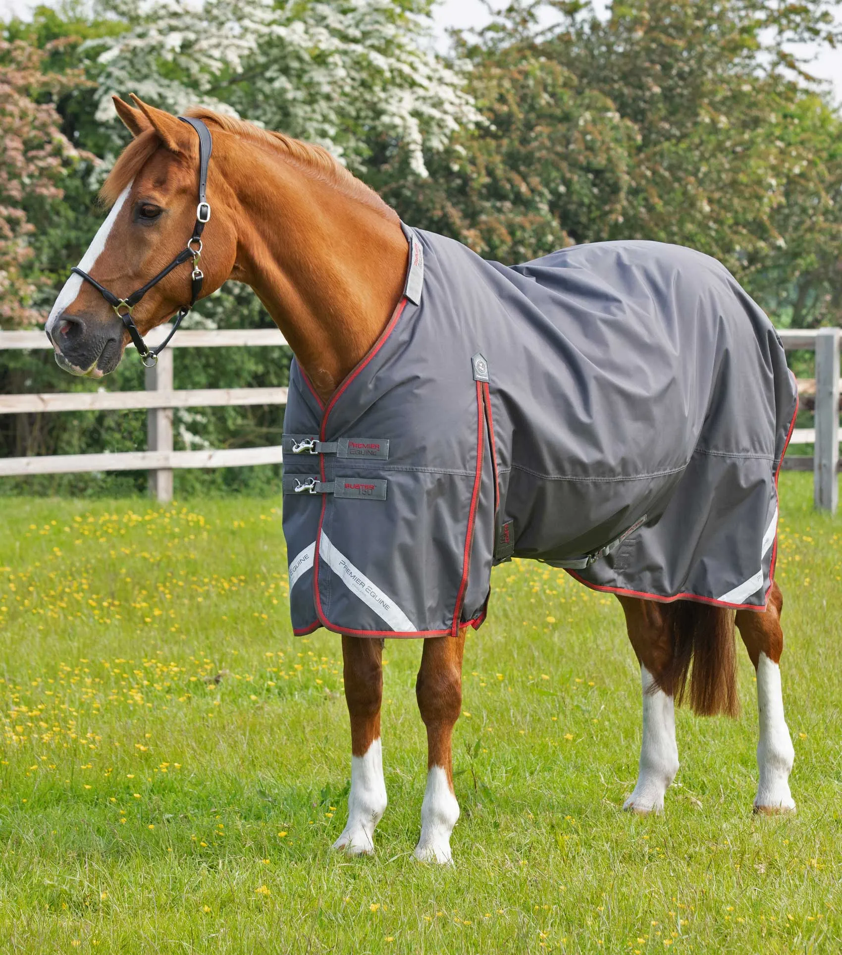 Buster 150g Turnout Rug with Classic Neck Cover Grey