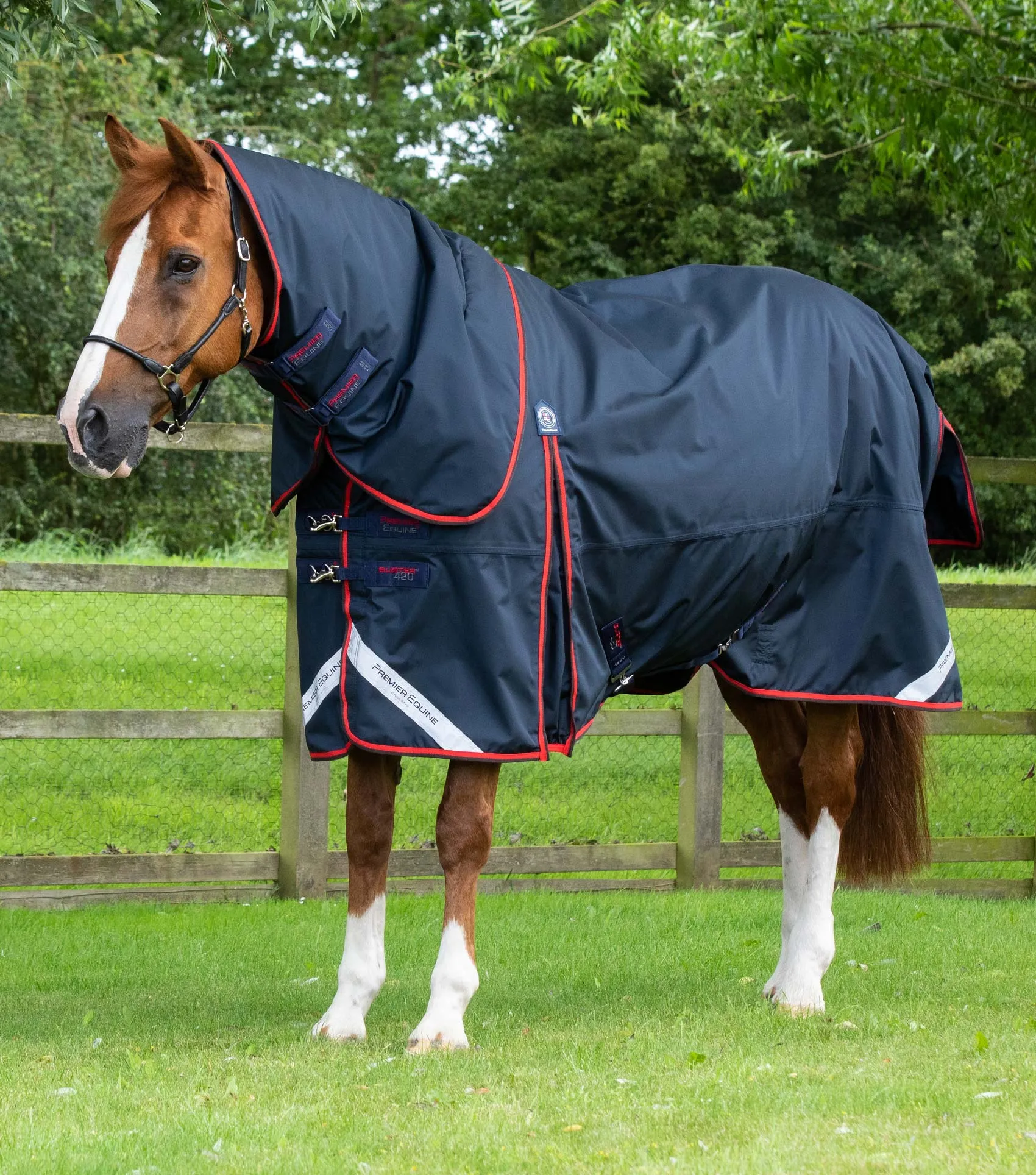 Buster 420g Turnout Rug with Classic Neck Cover Navy