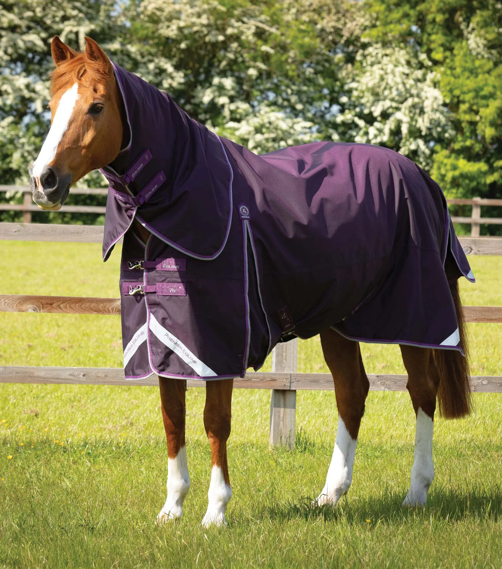 Buster 70g Turnout Rug with Classic Neck Cover Purple