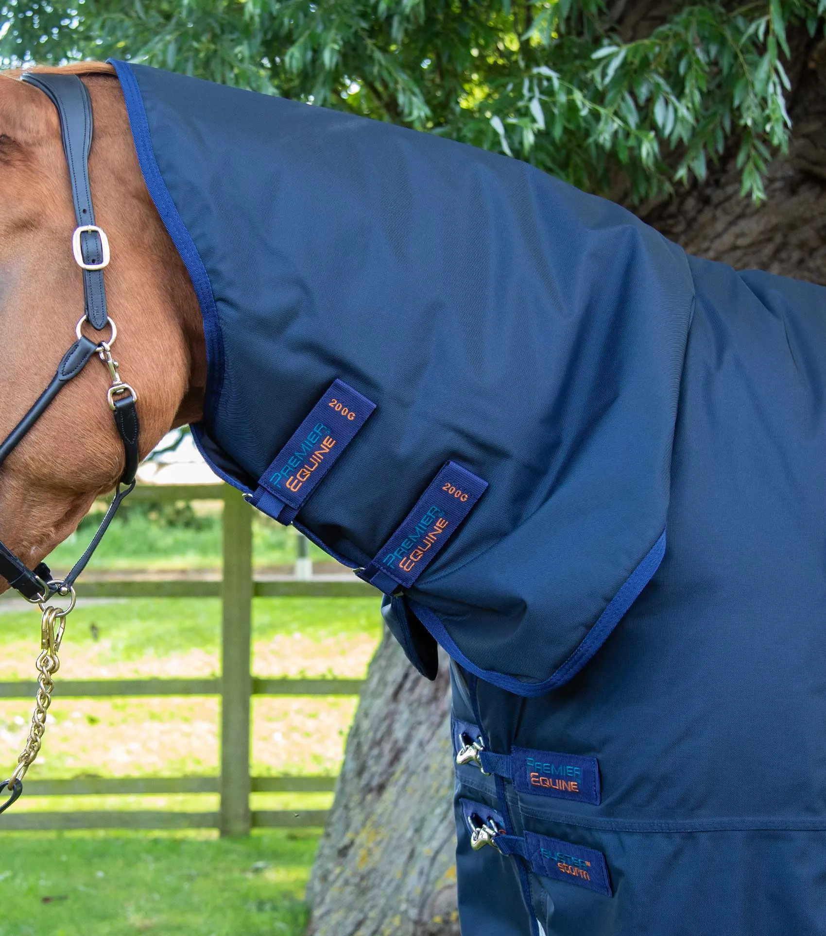 Buster Storm 420g Combo Turnout Rug with Classic Neck Navy