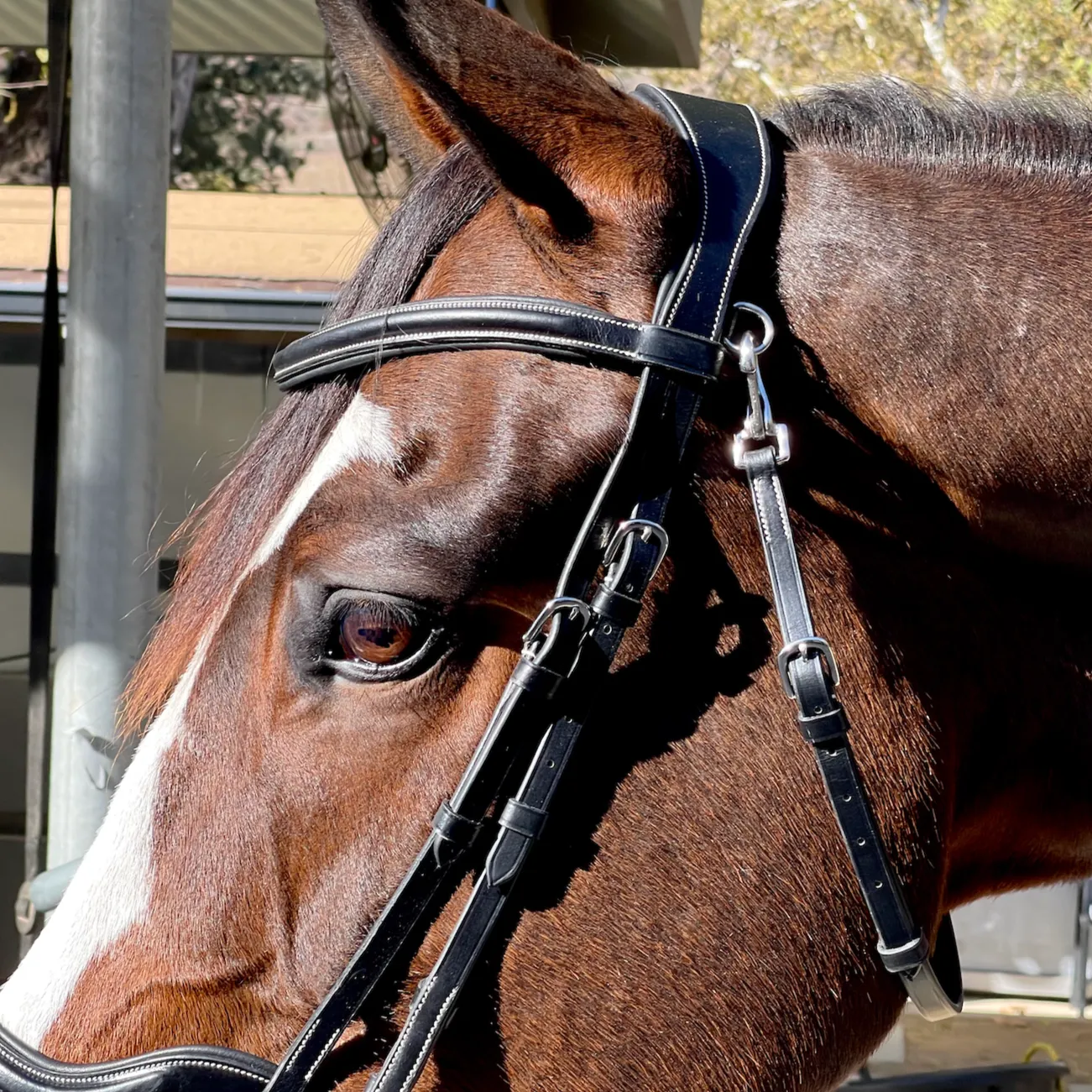 Deauville - Black Leather Anatomical Jumper Bridle