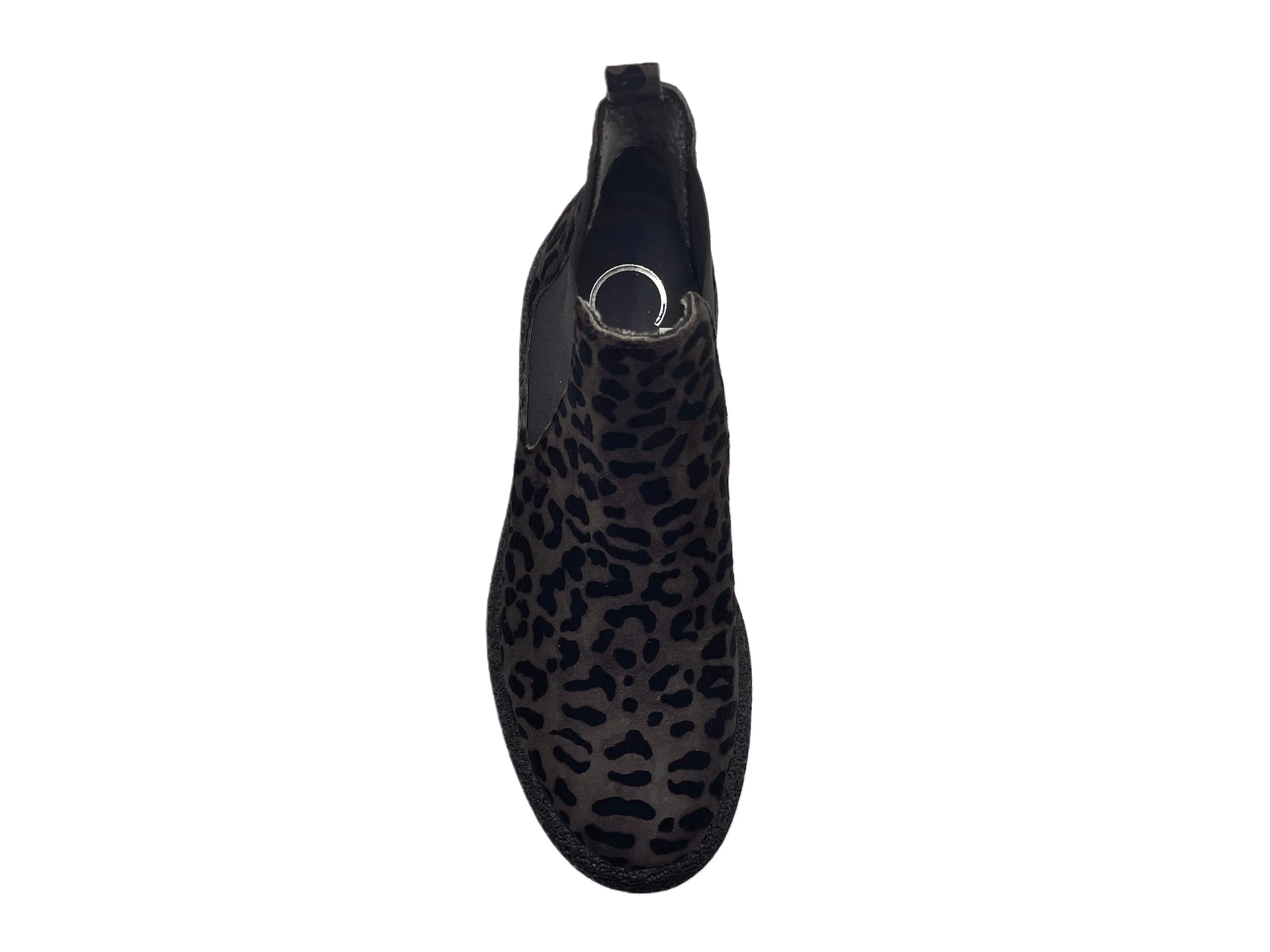 Donna Carolina - 673118W (Leopard)